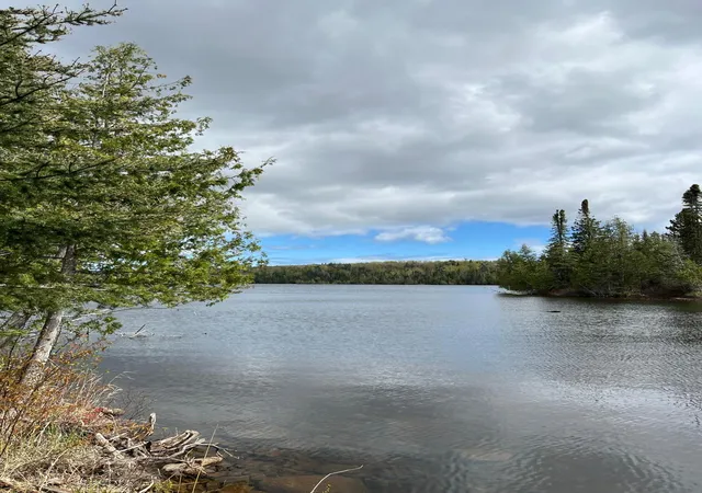 3rd image of 100 Wilderness Trail, Hovland, MN 55606 | MLS# 7068453