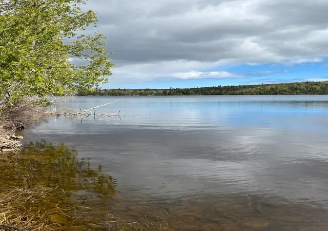 5th image of 100 Wilderness Trail, Hovland, MN 55606 | MLS# 7068453