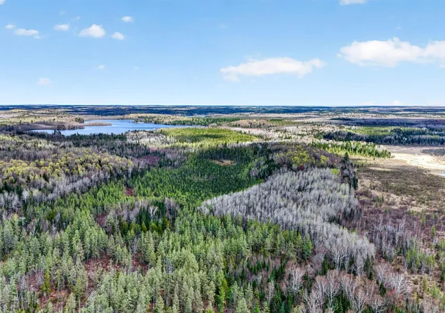 Photo 2 of Land for sale at 8225 N Blaisdell Lake, Loretta, WI 54896 | MLS# 7068617 | Listing updated on 2026-08-27