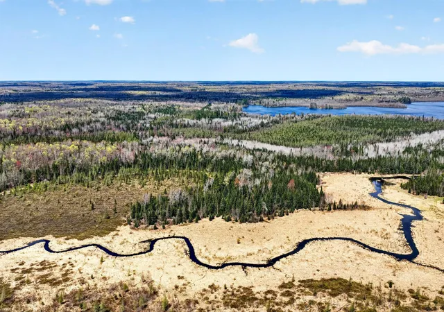 Photo 3 of Land for sale at 8225 N Blaisdell Lake, Loretta, WI 54896 | MLS# 7068617 | Listing updated on 2026-08-27