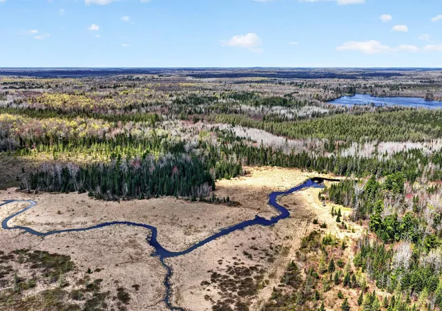 Photo 4 of Land for sale at 8225 N Blaisdell Lake, Loretta, WI 54896 | MLS# 7068617 | Listing updated on 2026-08-27