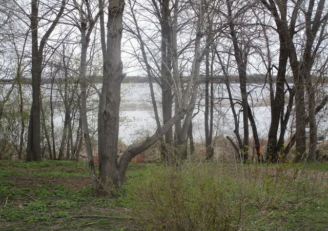 2nd image of 15684 County Road 102 Ne, Parkers Prairie, MN 56361 | MLS# 7068868