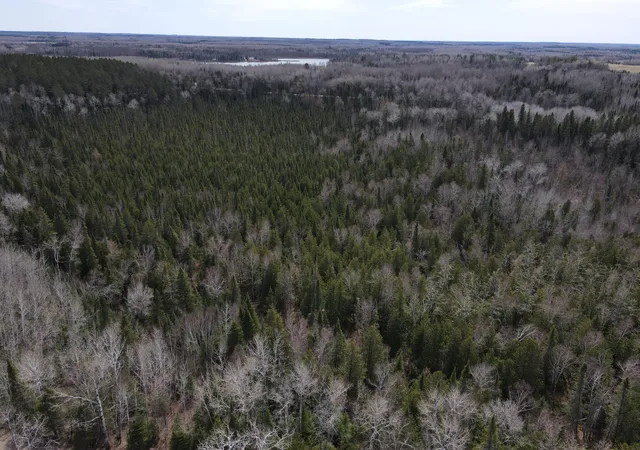 Land for sale at Tbd Co Rd 40, Effie, MN 56639 | MLS# 7069010