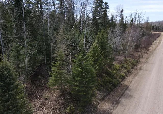 Photo 3 of Land for sale at Tbd Co Rd 40, Effie, MN 56639 | MLS# 7069010 | Listing updated on 2026-09-02