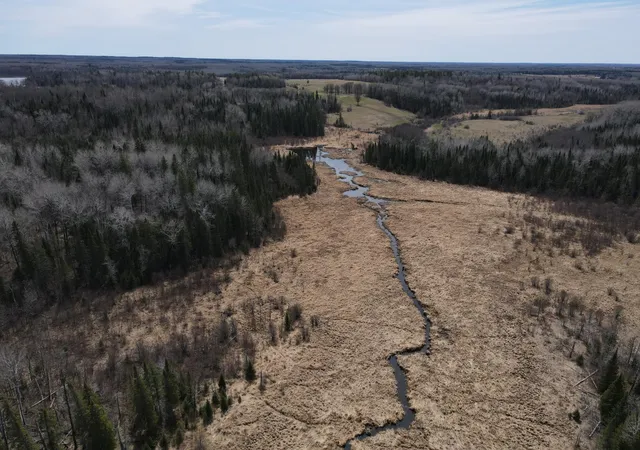 Photo 3 of Land for sale at Tbd Co Rd 40, Effie, MN 56639 | MLS# 7069010 | Listing updated on 2026-09-02