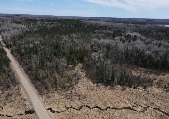 Photo 4 of Land for sale at Tbd Co Rd 40, Effie, MN 56639 | MLS# 7069010 | Listing updated on 2026-09-02