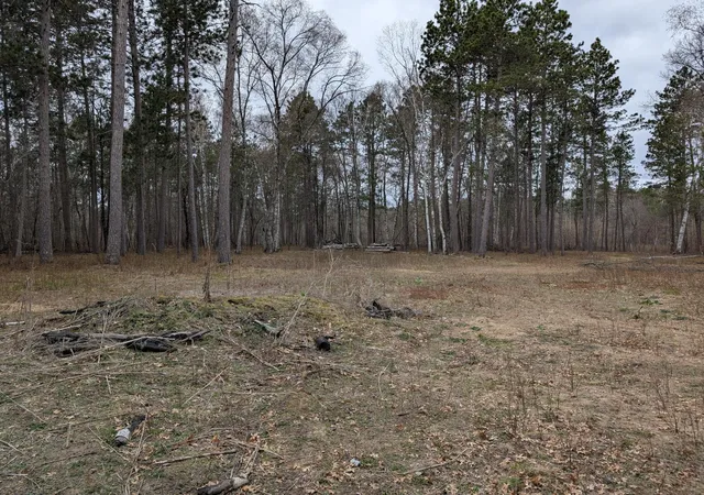 Photo 3 of Land for sale at 35546 Pine Ter Rd, Crosslake, MN 56442 | MLS# 7069163 | Listing updated on 2026-09-02