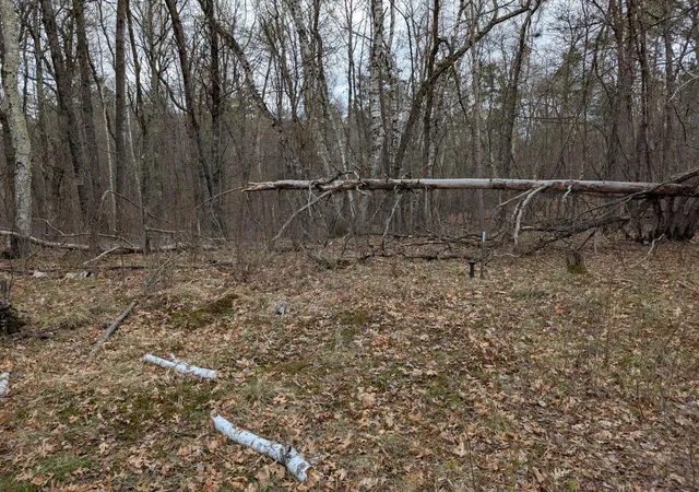 Photo 3 of Land for sale at 35546 Pine Ter Rd, Crosslake, MN 56442 | MLS# 7069163 | Listing updated on 2026-09-02