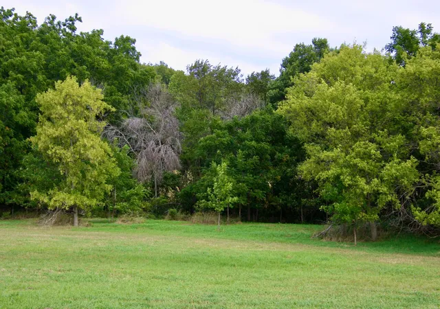 1st image of Tbd Hwy 65, River Falls, WI 54022 | MLS# 7069423