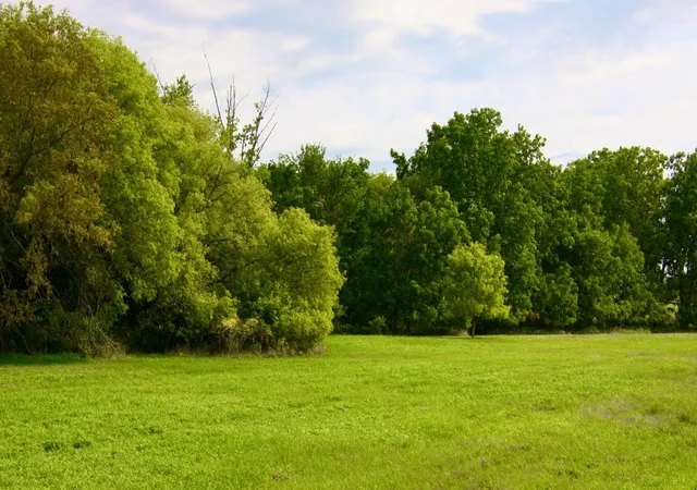 4th image of Tbd Hwy 65, River Falls, WI 54022 | MLS# 7069423