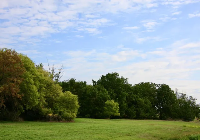 5th image of Tbd Hwy 65, River Falls, WI 54022 | MLS# 7069423