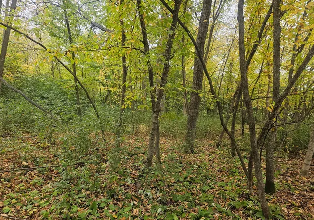 4th image of 1077 S Shore Dr, Detroit Lakes, MN 56501 | MLS# 7069728