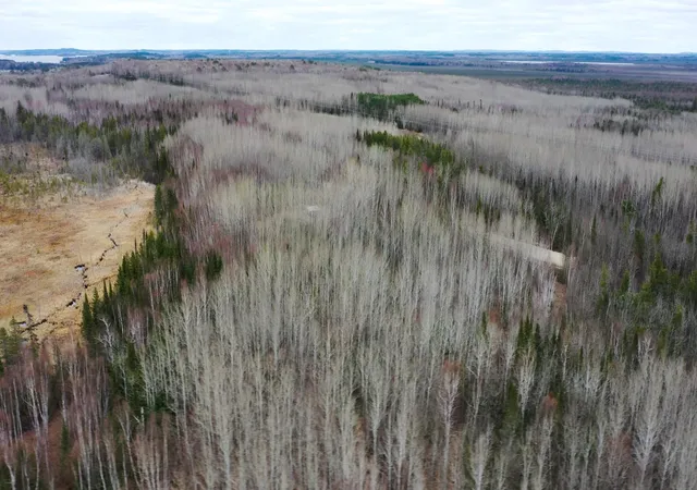 2nd image of Tbd Parcel 15 Hwy 115, Tower, MN 55790 | MLS# 7070213
