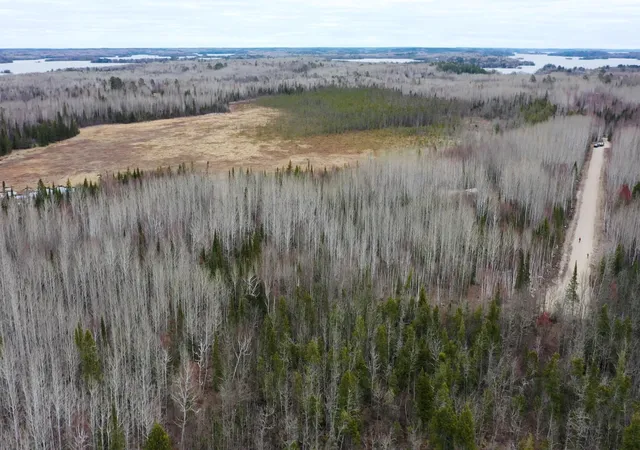 3rd image of Tbd Parcel 15 Hwy 115, Tower, MN 55790 | MLS# 7070213