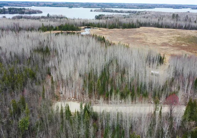 4th image of Tbd Parcel 15 Hwy 115, Tower, MN 55790 | MLS# 7070213