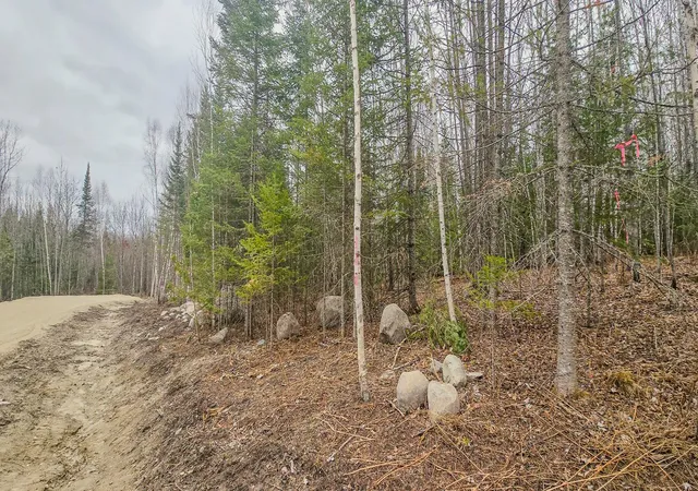 5th image of Tbd Parcel 15 Hwy 115, Tower, MN 55790 | MLS# 7070213
