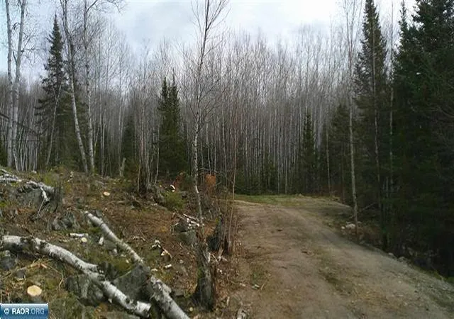 12th image of Tbd Parcel 19 Hwy 115, Tower, MN 55790 | MLS# 7070221