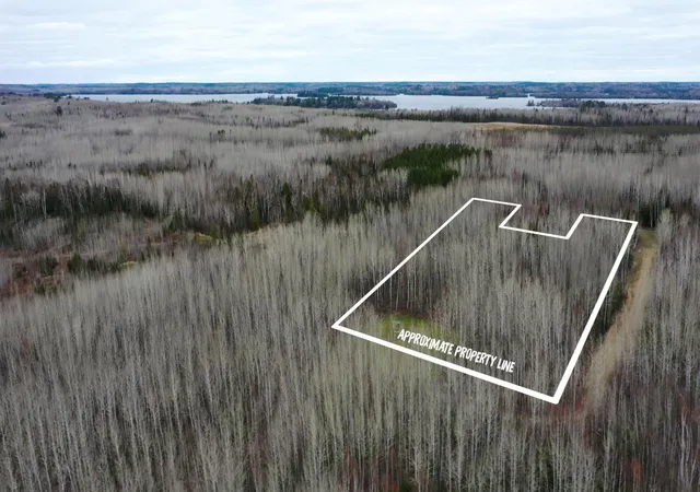 1st image of Tbd Parcel 20 Hwy 115, Tower, MN 55790 | MLS# 7070237