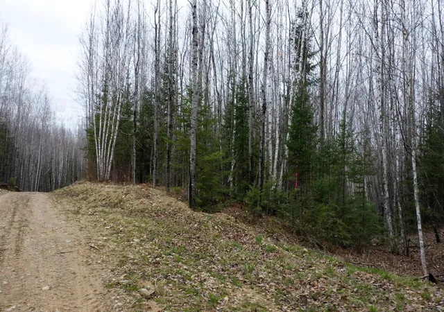 2nd image of Tbd Parcel 20 Hwy 115, Tower, MN 55790 | MLS# 7070237