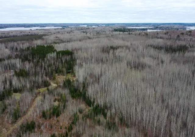3rd image of Tbd Parcel 20 Hwy 115, Tower, MN 55790 | MLS# 7070237