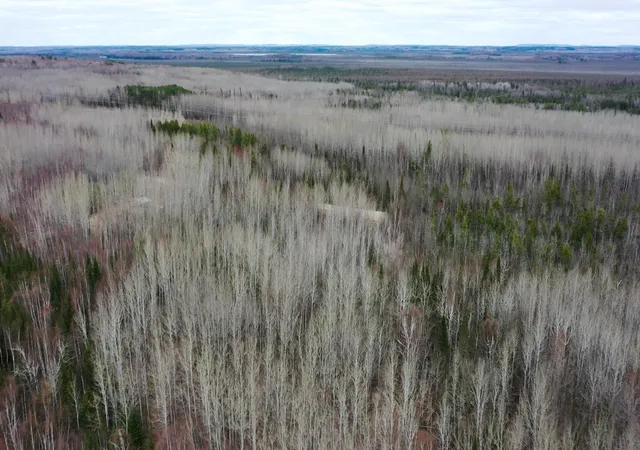 4th image of Tbd Parcel 20 Hwy 115, Tower, MN 55790 | MLS# 7070237