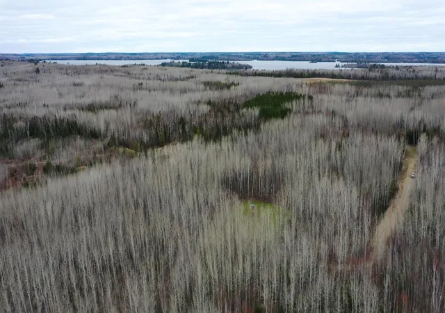 5th image of Tbd Parcel 20 Hwy 115, Tower, MN 55790 | MLS# 7070237