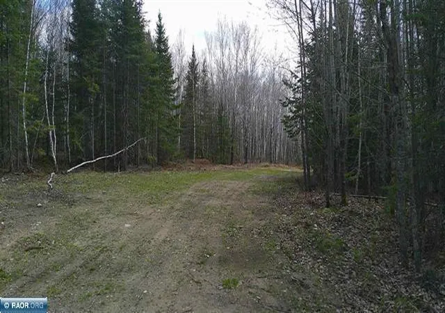 6th image of Tbd Parcel 20 Hwy 115, Tower, MN 55790 | MLS# 7070237