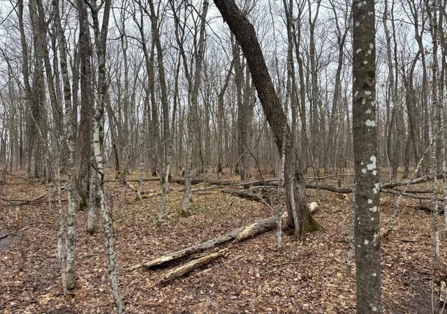 image of Tbd 235th Pl, Mc Gregor, MN 55760 | MLS# 7070279