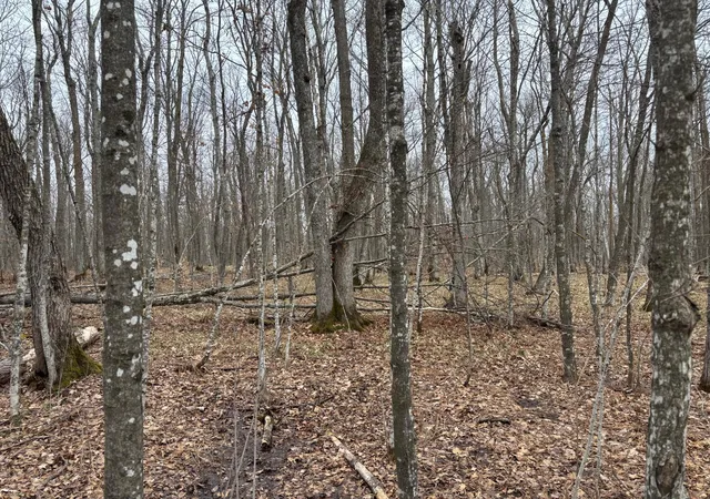 image of Tbd 235th Pl, Mc Gregor, MN 55760 | MLS# 7070279