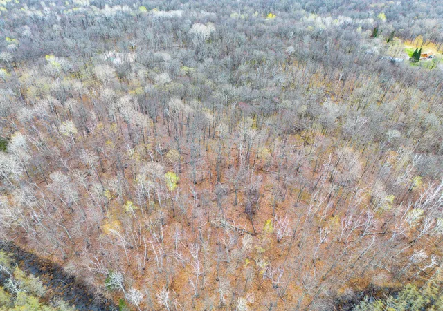 image of Tbd 235th Pl, Mc Gregor, MN 55760 | MLS# 7070279