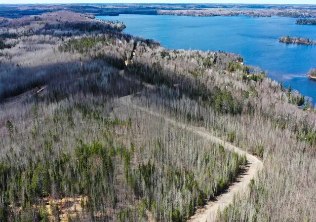 2nd image of Tbd Parcel F Frazer Bay Road, Cook, MN 55723 | MLS# 7070290