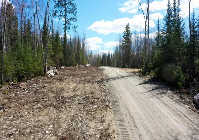 Photo 4 of Land for sale at Tbd Parcel G Frazer Bay Rd, Cook, MN 55723 | MLS# 7070297 | Listing updated on 2026-05-27