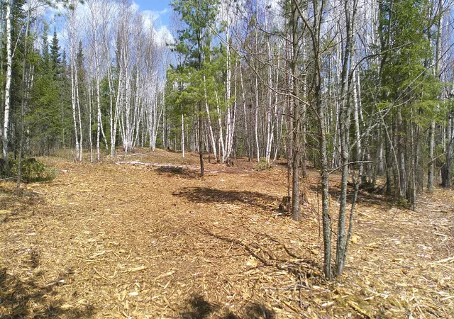 Photo 3 of Land for sale at Tbd Parcel I Frazer Bay Rd, Cook, MN 55723 | MLS# 7070302 | Listing updated on 2026-05-27