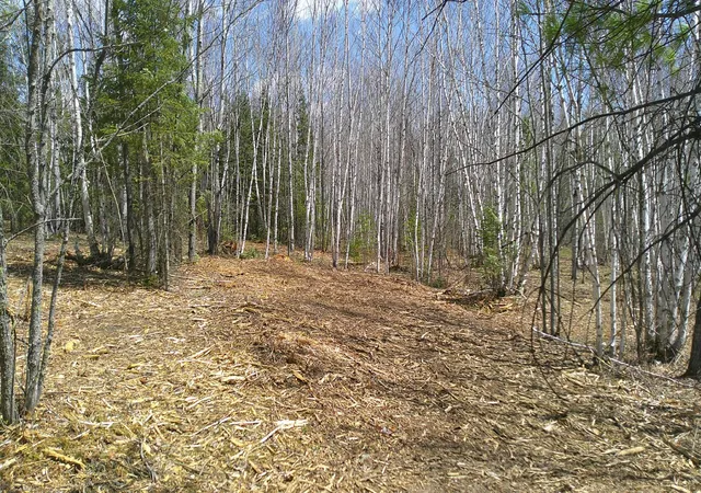 Photo 3 of Land for sale at Tbd Parcel I Frazer Bay Rd, Cook, MN 55723 | MLS# 7070302 | Listing updated on 2026-05-27