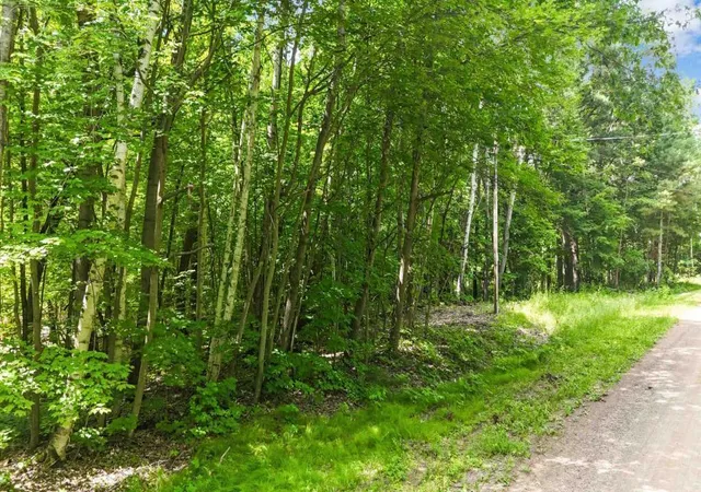 5th image of Lots B & C 389Th Ave, Aitkin, MN 56431 | MLS# 7070372