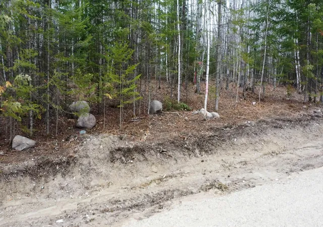 2nd image of Tbd Parcel V Frazer Bay Road, Cook, MN 55723 | MLS# 7070382