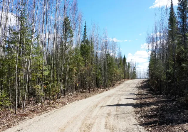 4th image of Tbd Parcel V Frazer Bay Road, Cook, MN 55723 | MLS# 7070382