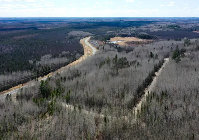 12th image of Tbd Parcel W Frazer Bay Road, Cook, MN 55723 | MLS# 7070408