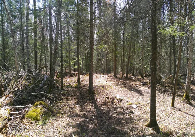 2nd image of Tbd Parcel W Frazer Bay Road, Cook, MN 55723 | MLS# 7070408