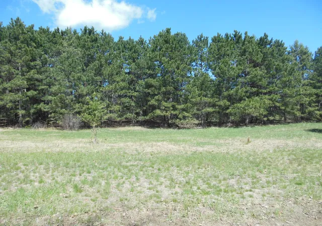 Photo 3 of Land for sale at Tbd Red Sequia Dr N, Baxter, MN 56425 | MLS# 7070650 | Listing updated on 2026-05-27