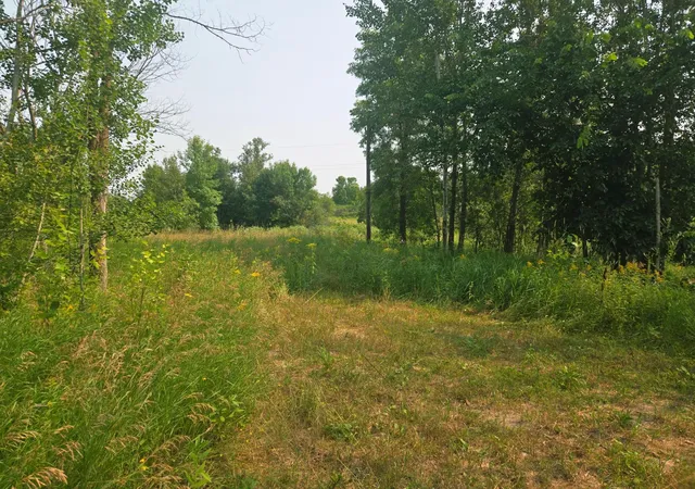 Photo 1 of Land for sale at 183xx 302nd Avenue, Detroit Lakes, MN 56501 | MLS# 7070656 | Listing updated on 2026-08-29