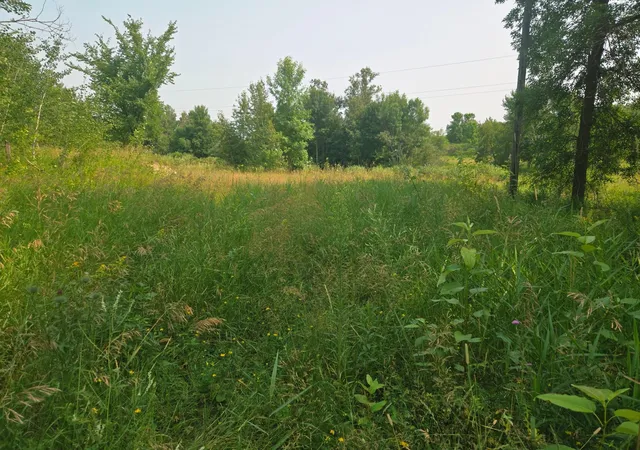 Photo 3 of Land for sale at 183xx 302nd Avenue, Detroit Lakes, MN 56501 | MLS# 7070656 | Listing updated on 2026-08-29
