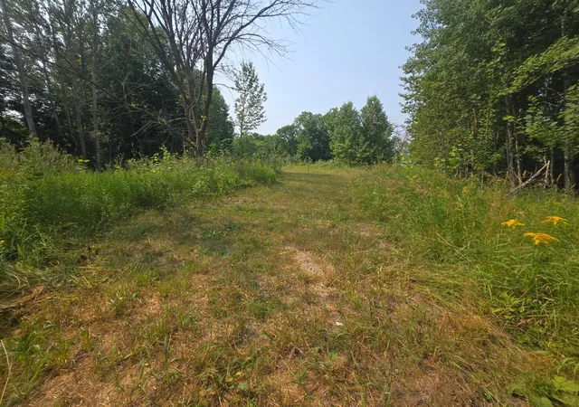 Photo 3 of Land for sale at 183xx 302nd Avenue, Detroit Lakes, MN 56501 | MLS# 7070656 | Listing updated on 2026-08-29