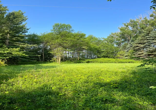 1st image of Tbd Wild Rose Trail, Frazee, MN 56544 | MLS# 7070759