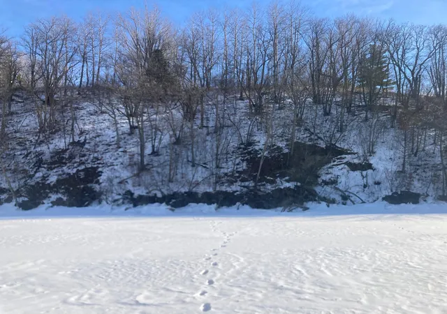 26th image of Tbd Wild Rose Trail, Frazee, MN 56544 | MLS# 7070759
