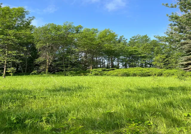 2nd image of Tbd Wild Rose Trail, Frazee, MN 56544 | MLS# 7070759