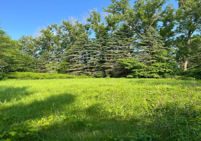 3rd image of Tbd Wild Rose Trail, Frazee, MN 56544 | MLS# 7070759