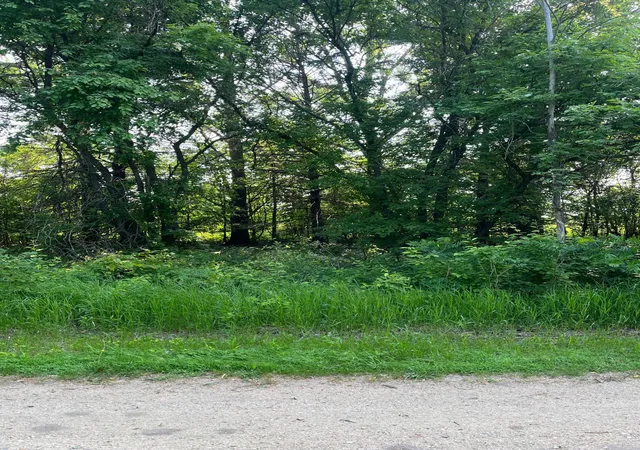 4th image of Tbd Wild Rose Trail, Frazee, MN 56544 | MLS# 7070759