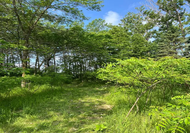 5th image of Tbd Wild Rose Trail, Frazee, MN 56544 | MLS# 7070759