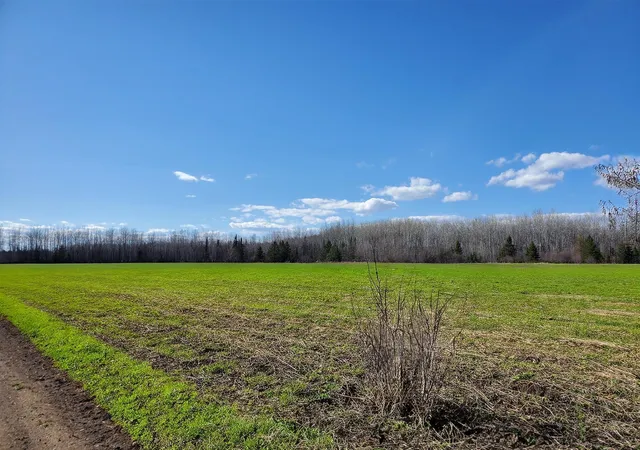 2nd image of Tbd Wildflower Lane Ne, Blackduck, MN 56630 | MLS# 7071034